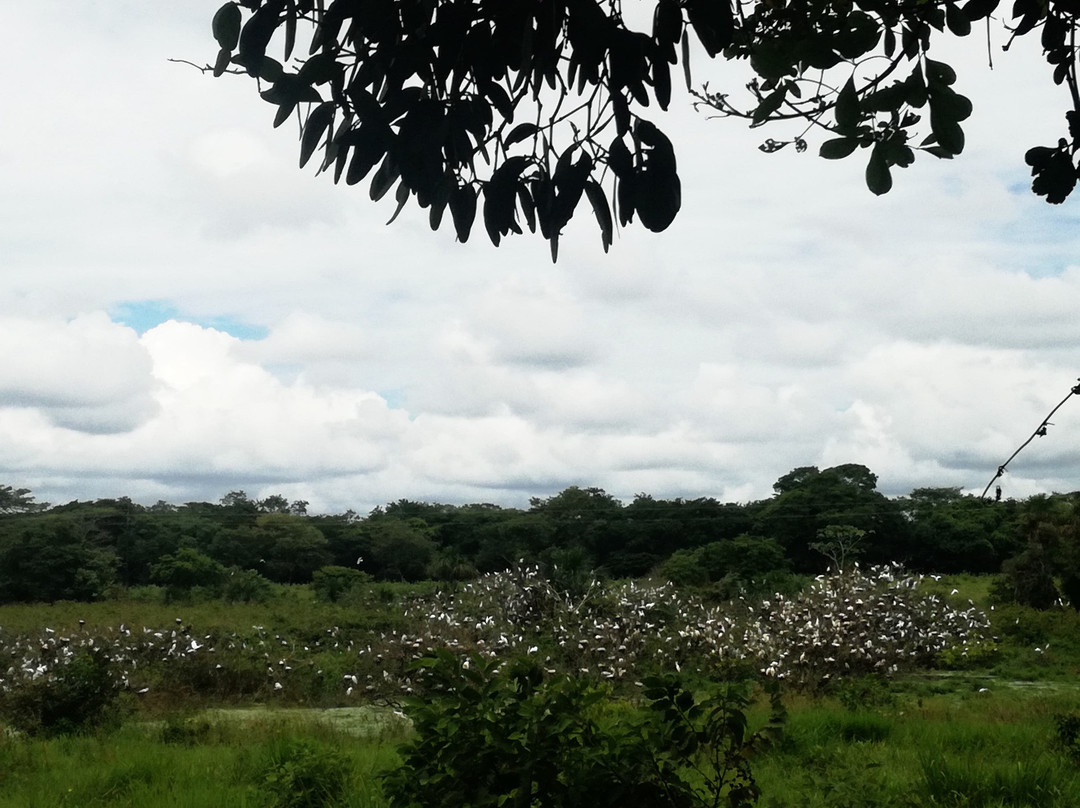 Hotel Arboleda主图