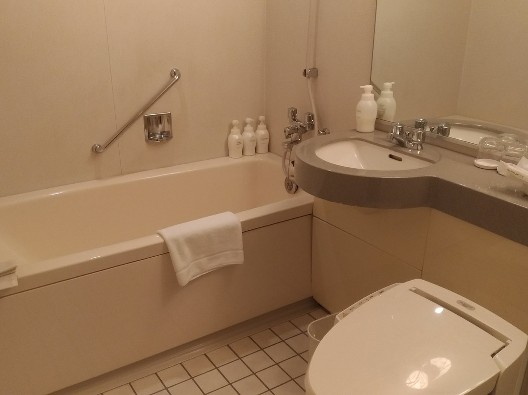 Hotel JAL City Tsukuba主图