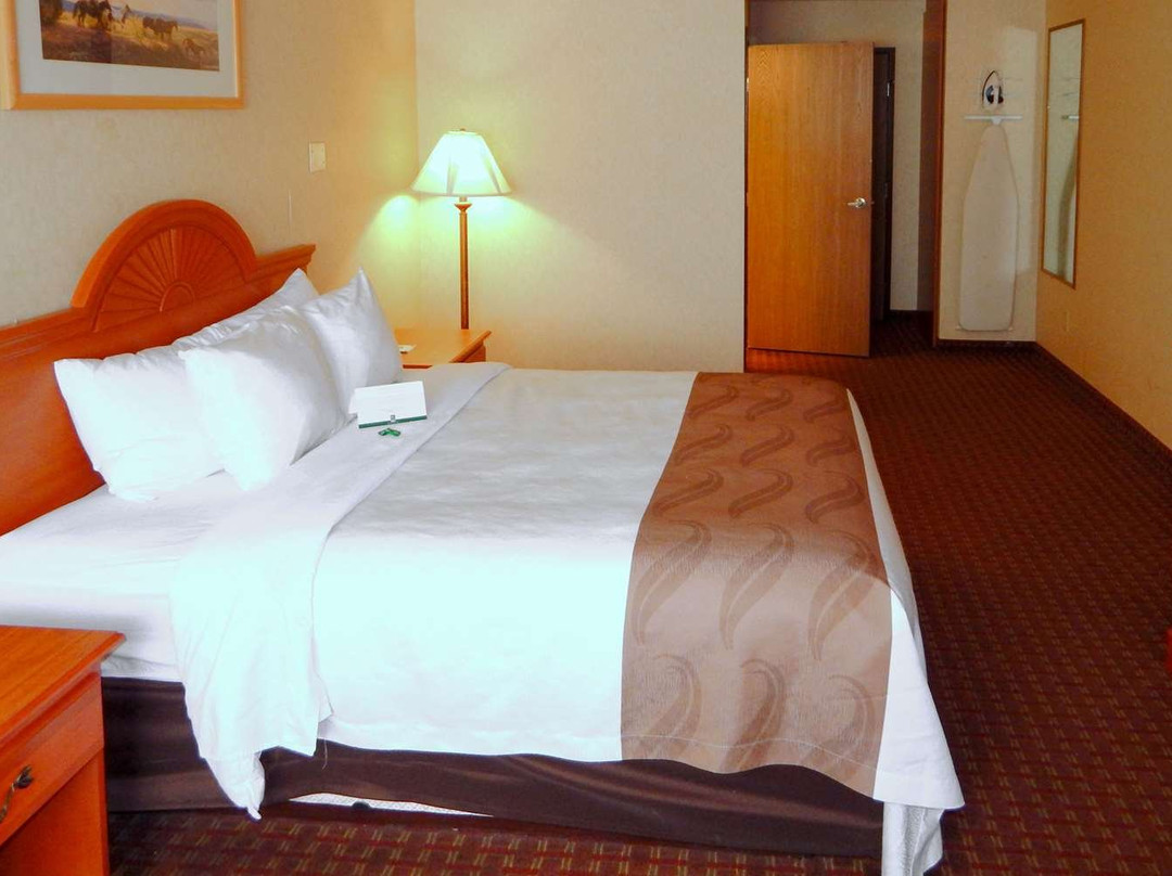 Spark by Hilton Sheridan主图