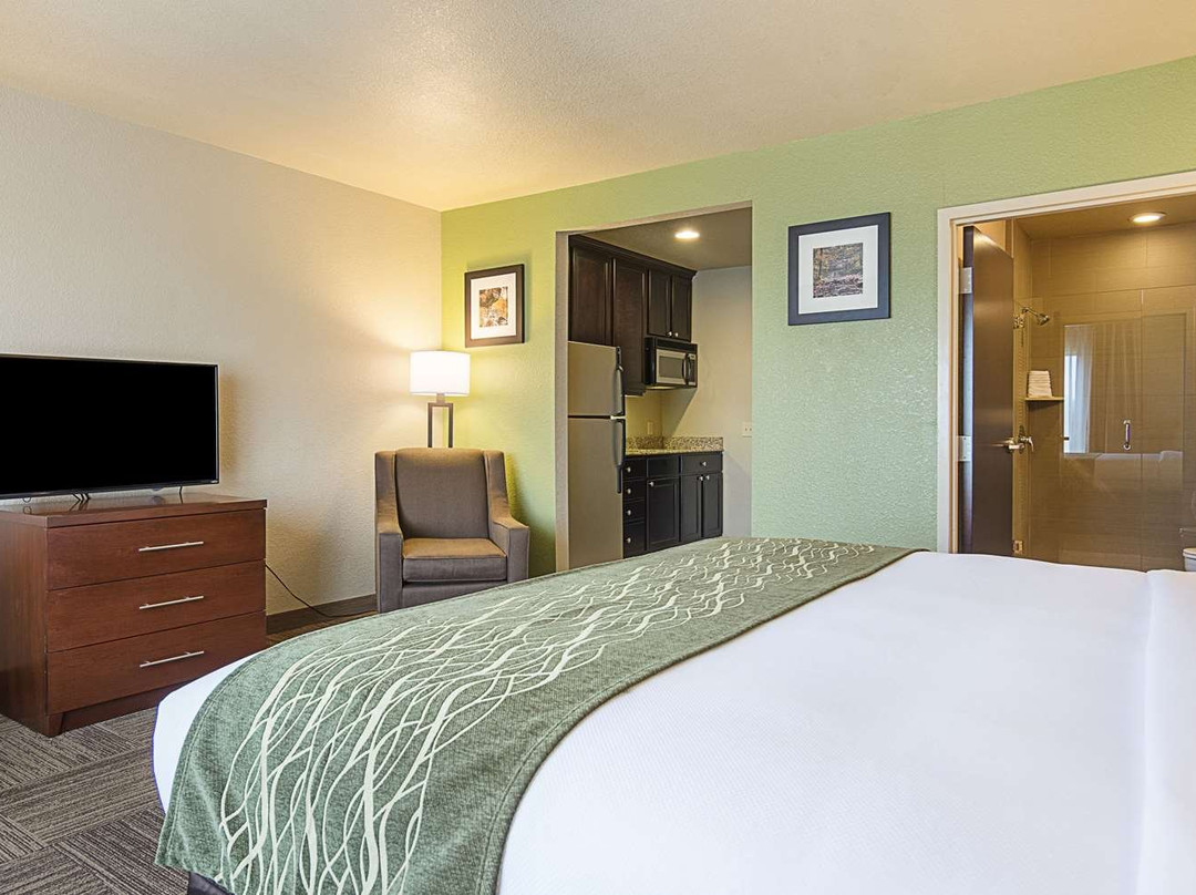 西蒙斯套房酒店主图