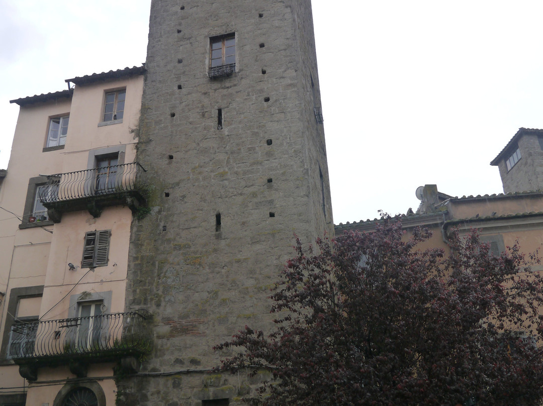 Torre del Borgognone-维泰博必去景点