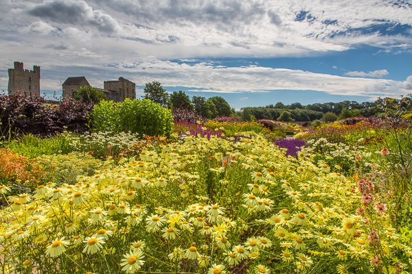 Helmsley Walled Garden景点图片