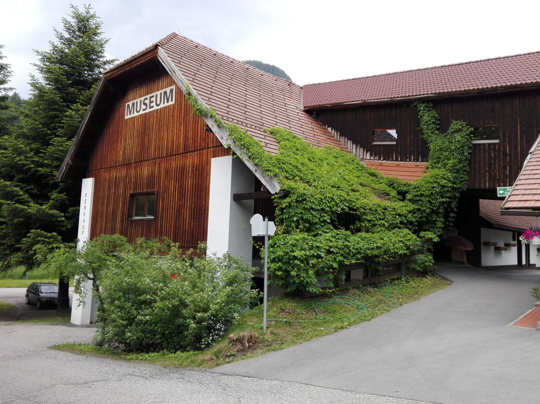 Mushroom Museum-Treffen必去景点