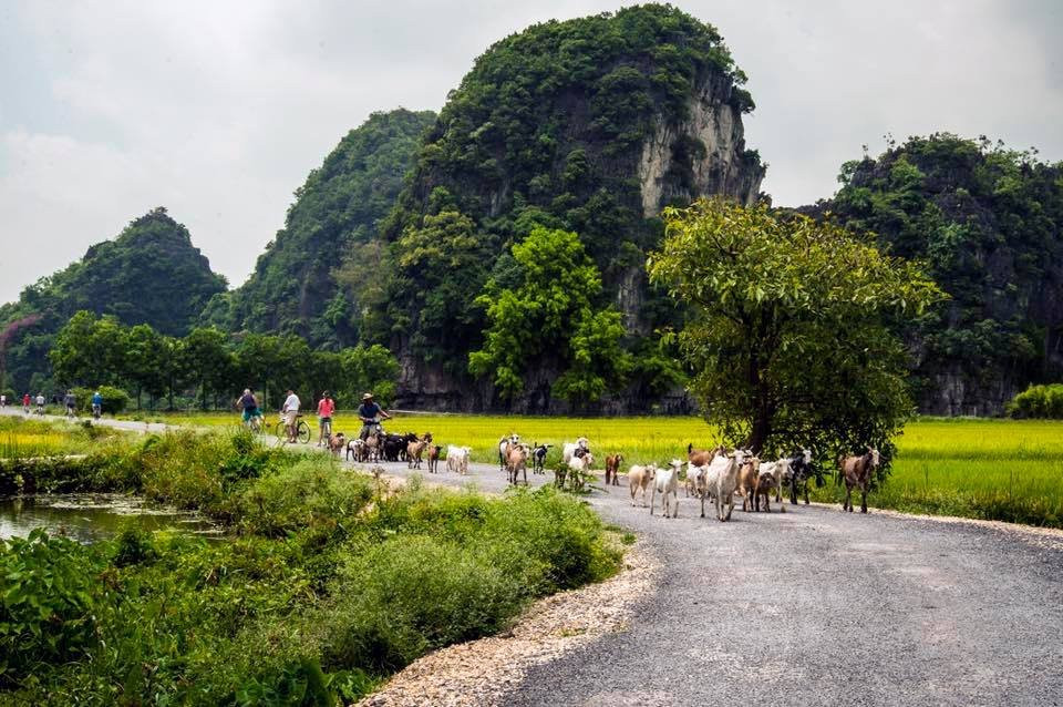 Good Morning Ninh Binh Tours景点图片
