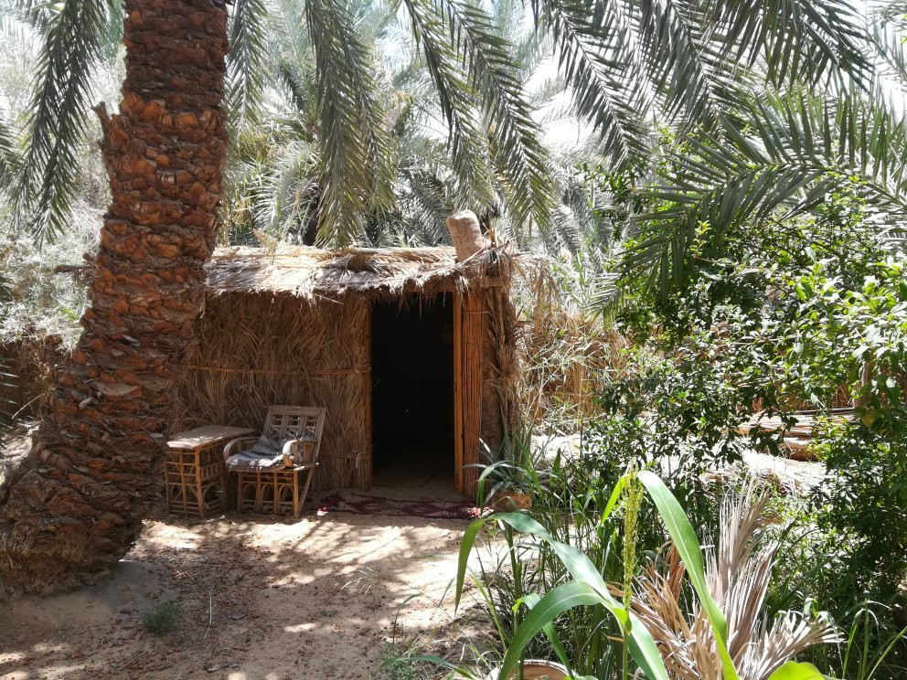 西瓦餐馆和美食-Fahmi's Garden