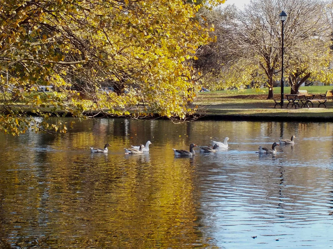 Caulfield旅游攻略图片