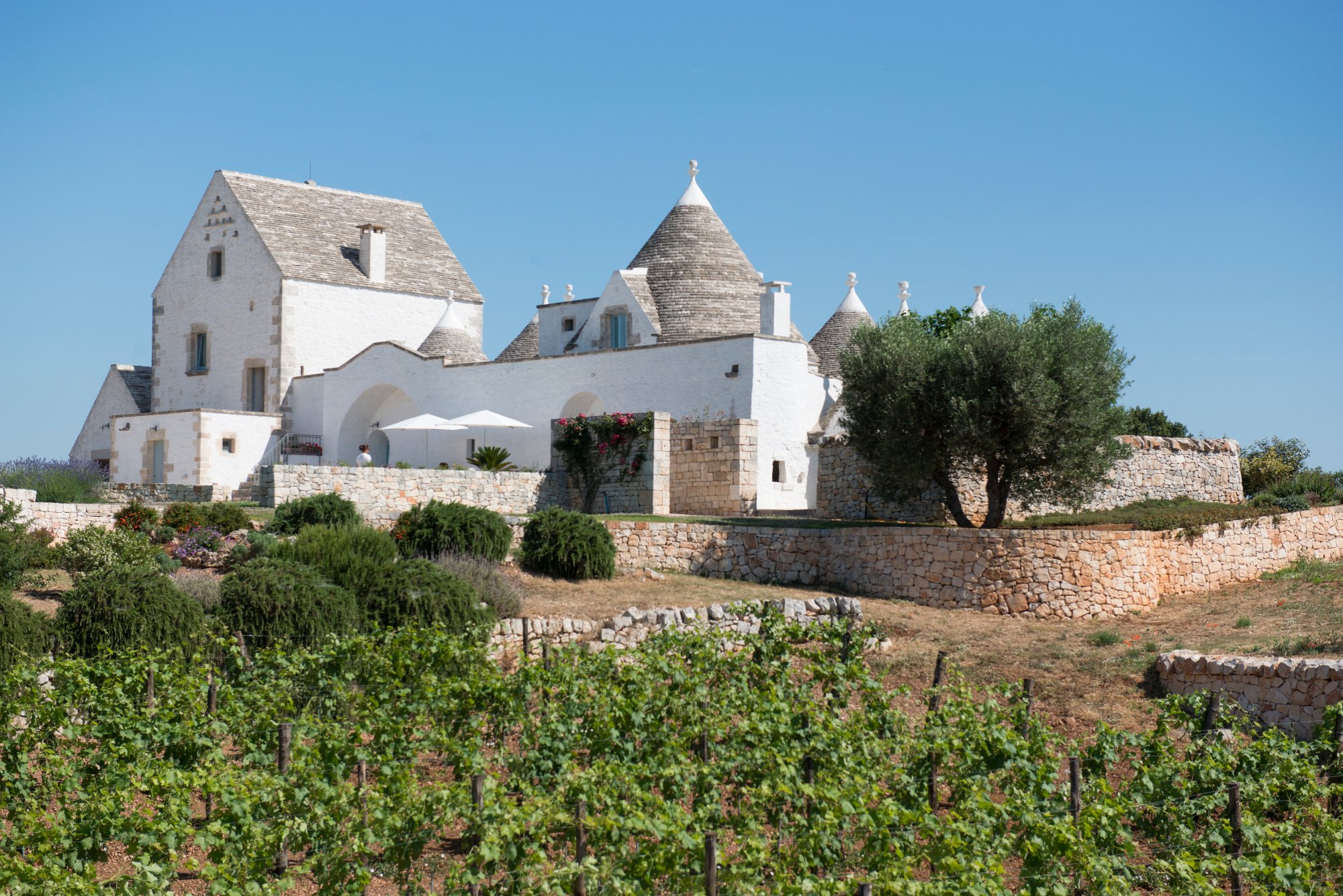Masseria Serralta-官方