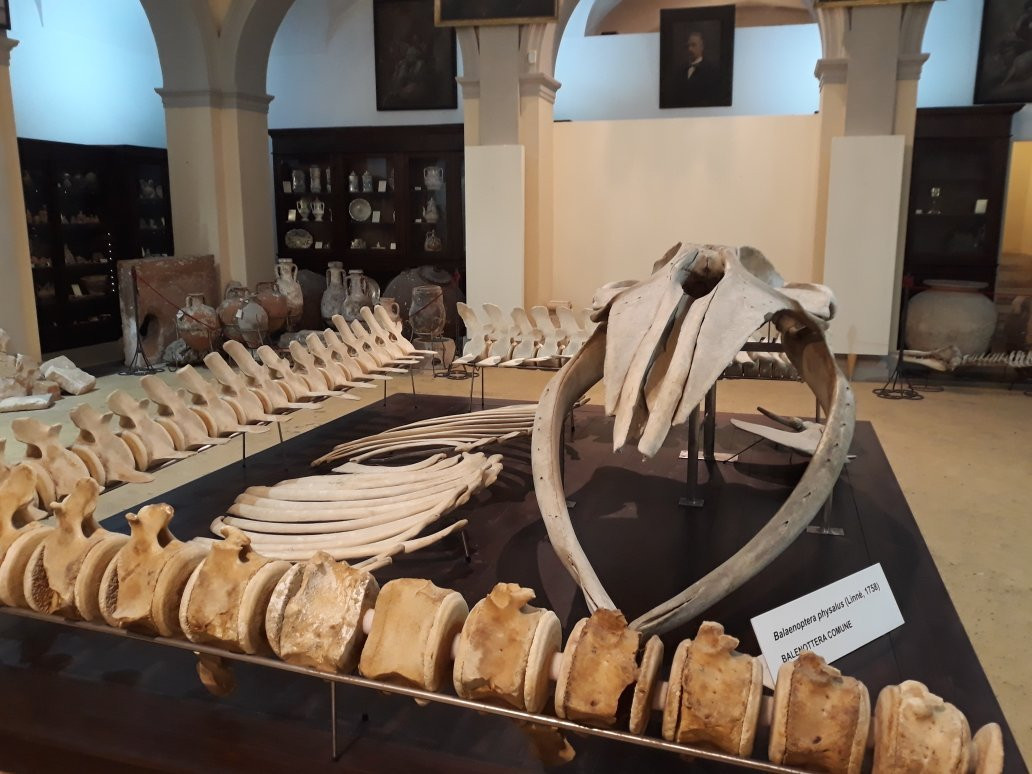 Museo Civico Emanuele Barba-加里波利必去景点