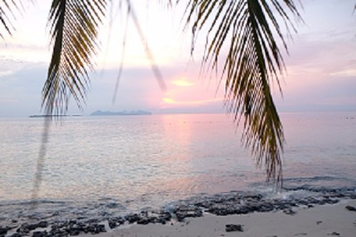 暗礁潜水度假村主图