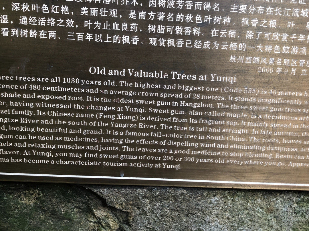 云栖竹径-杭州市必去景点