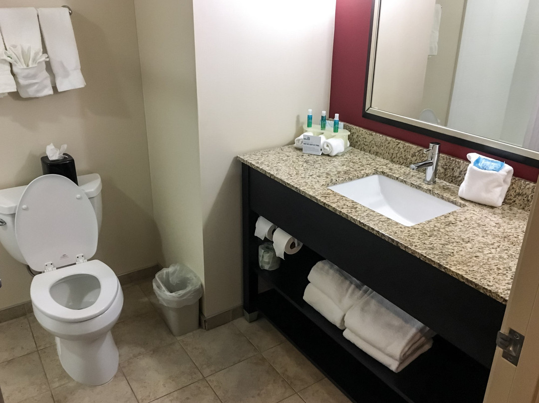 Holiday Inn Express & Suites New Philadelphia by IHG主图