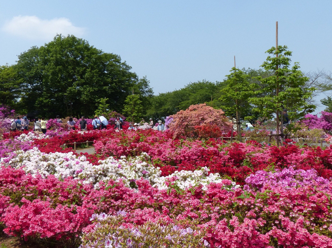 Tsutsujigaoka Park景点图片