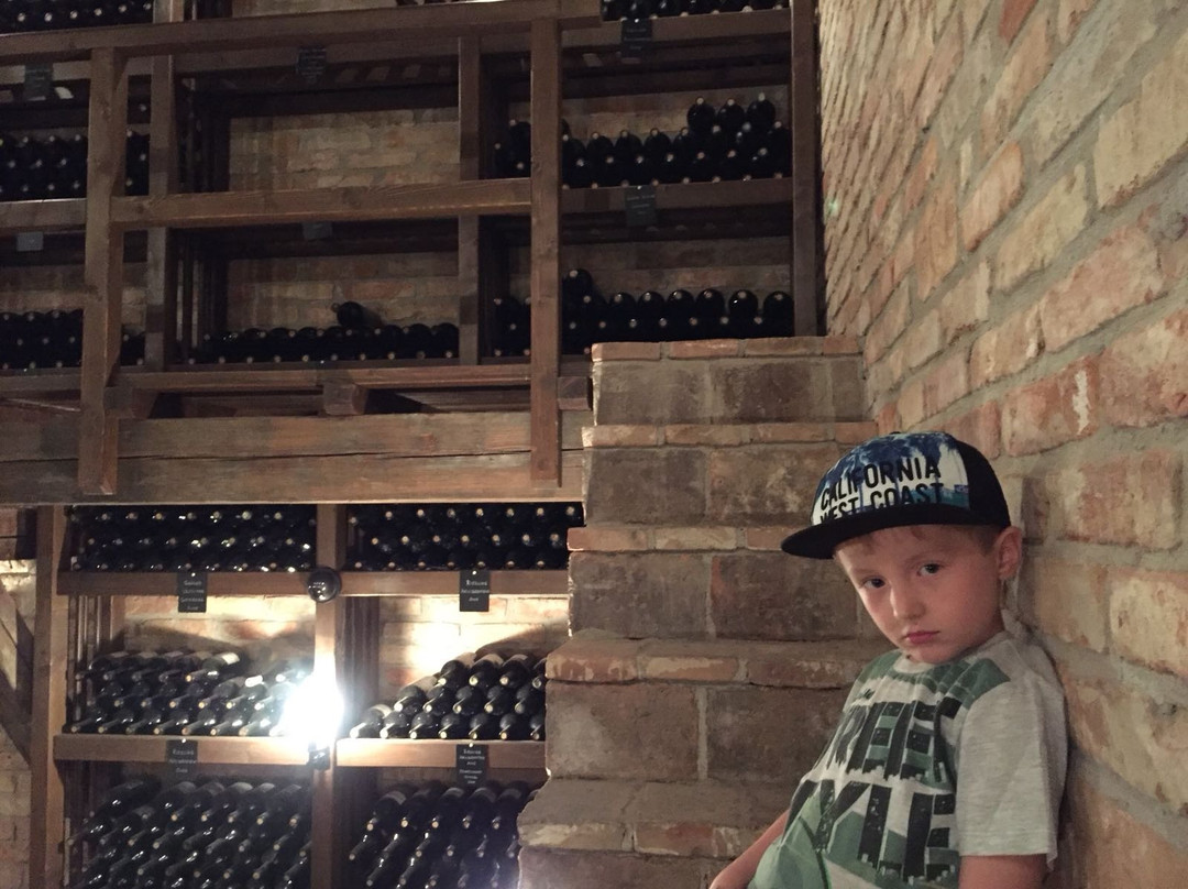 Weingut Eichinger景点图片