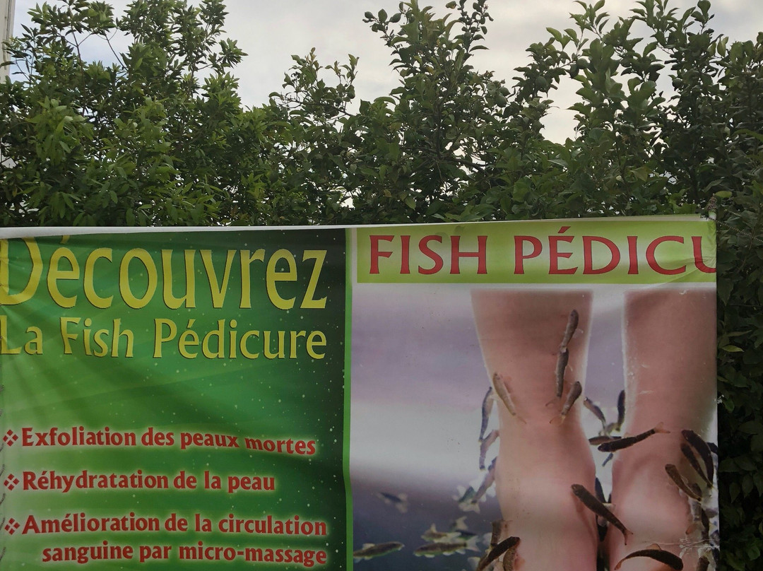 Espace bien-être-Ariana必去景点