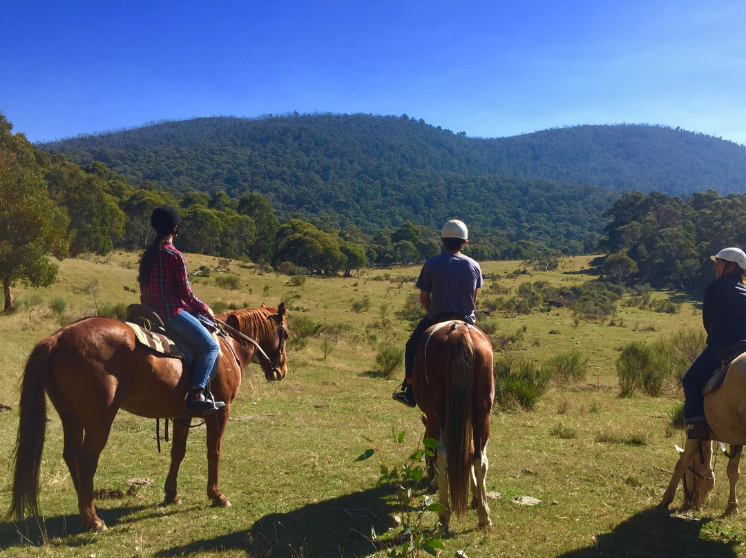 Thredbo Valley Horse Riding