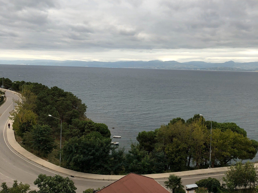 Sinop Turhan Pansiyon