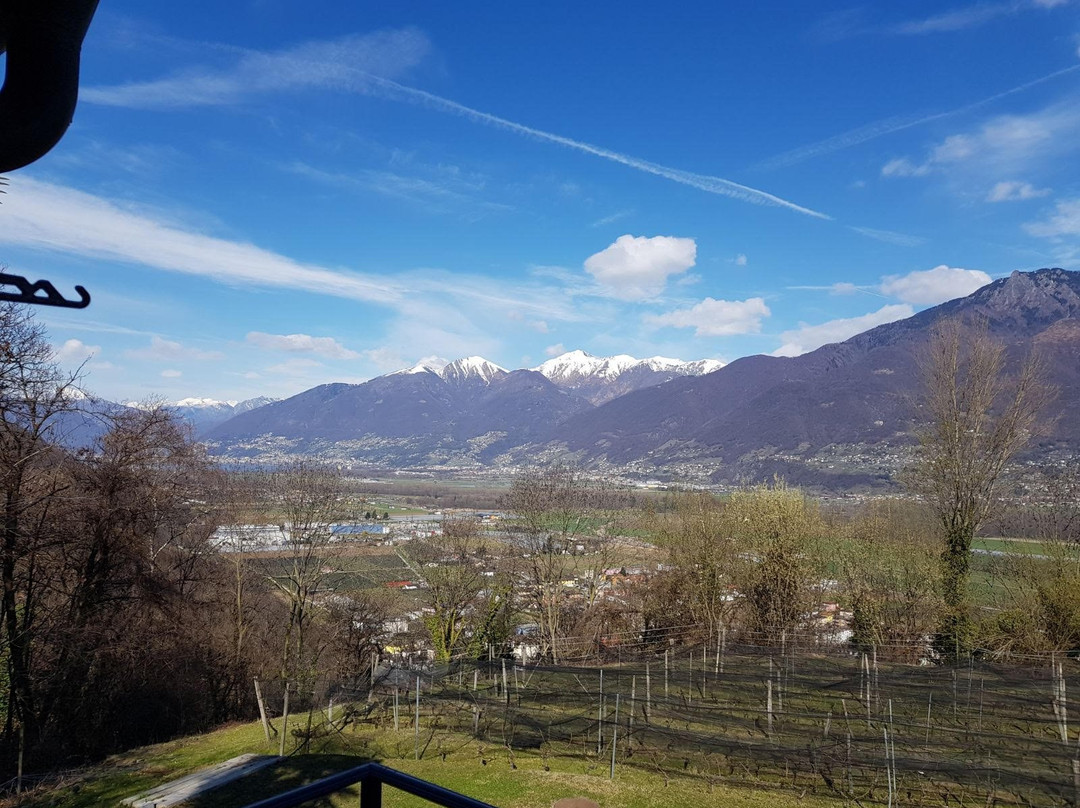 Agriturismo Viva Bacco主图