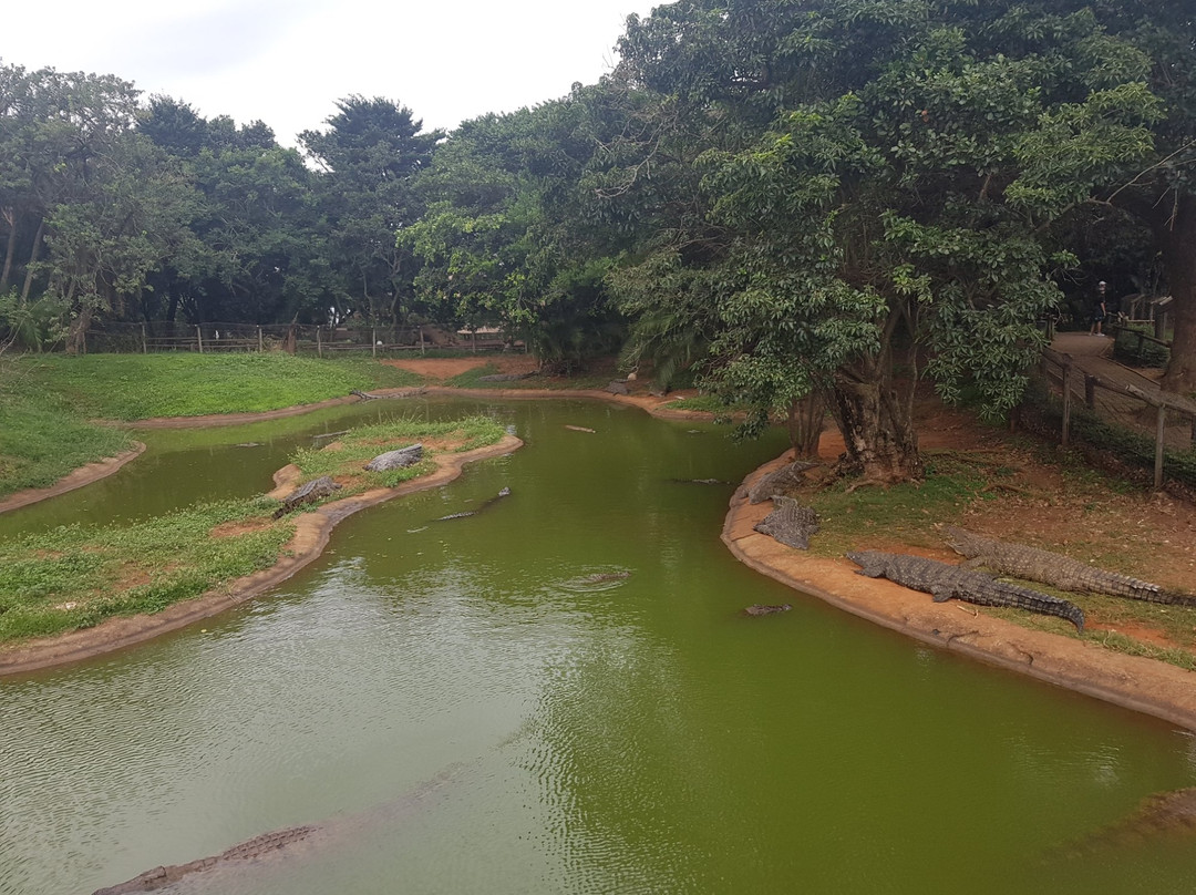 Scottburgh旅游攻略图片