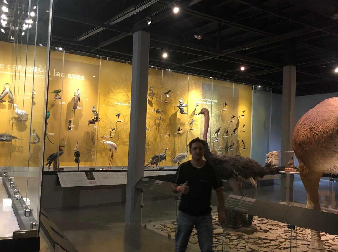 Museo de las Aves-萨尔蒂必去景点