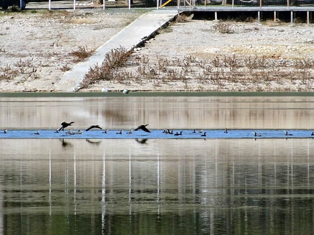 Embalse de Cubillas-Albolote必去景点