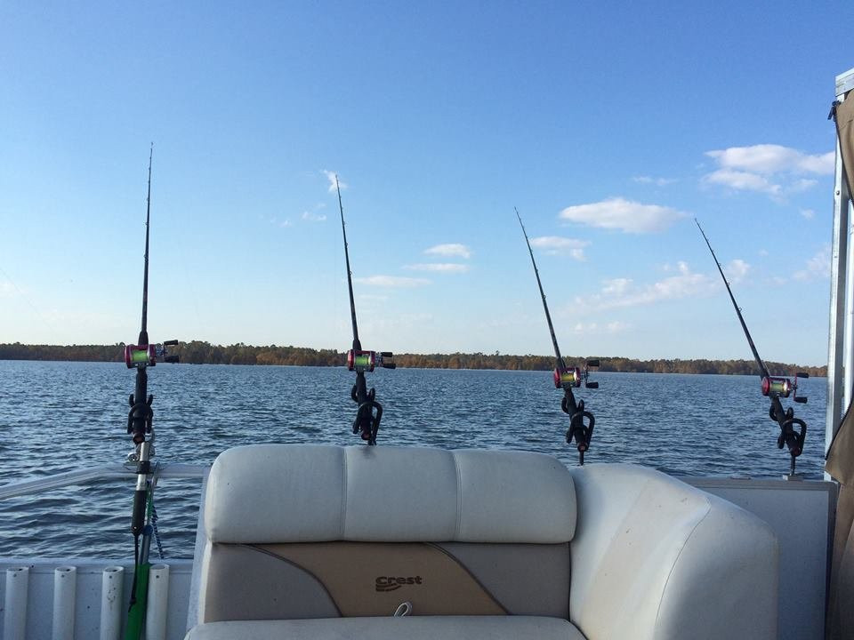 Santee Cooper Fishing Guide景点图片