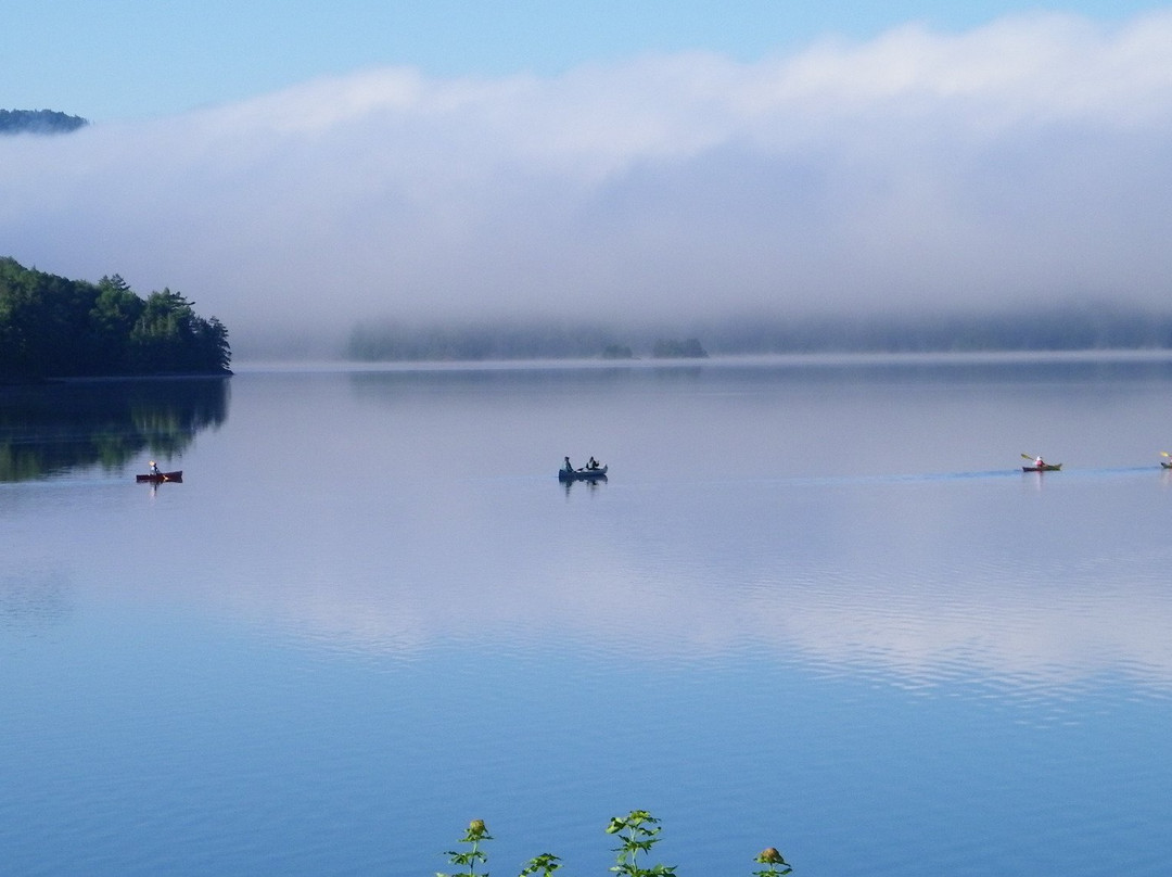 Camp Driftwood主图