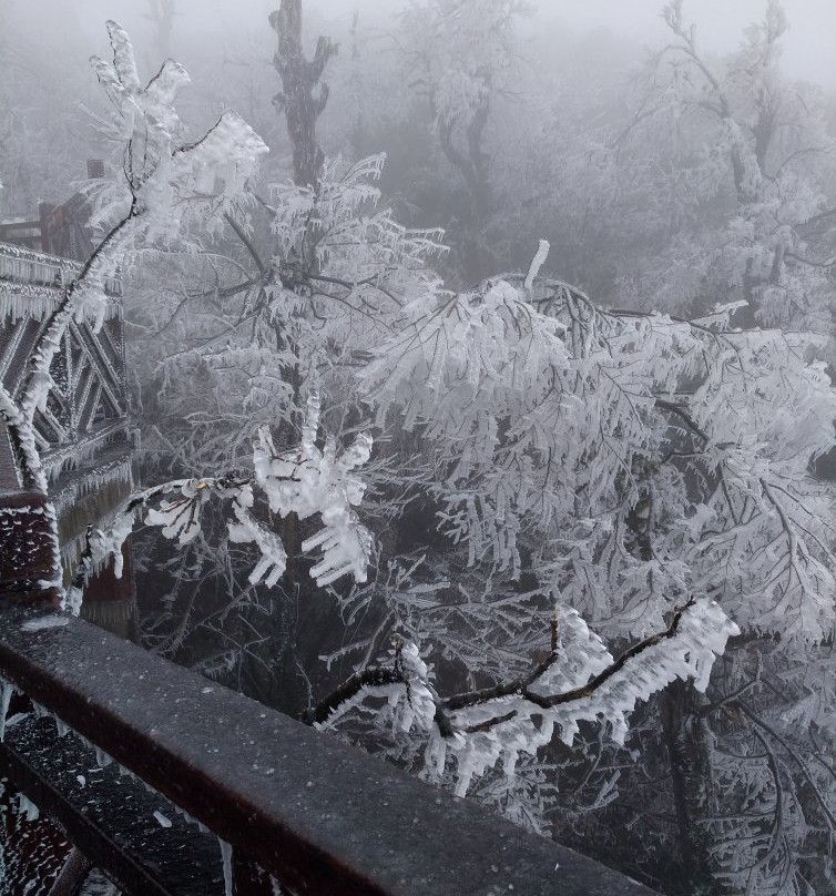 砂岩峰林地质公园-张家界市必去景点