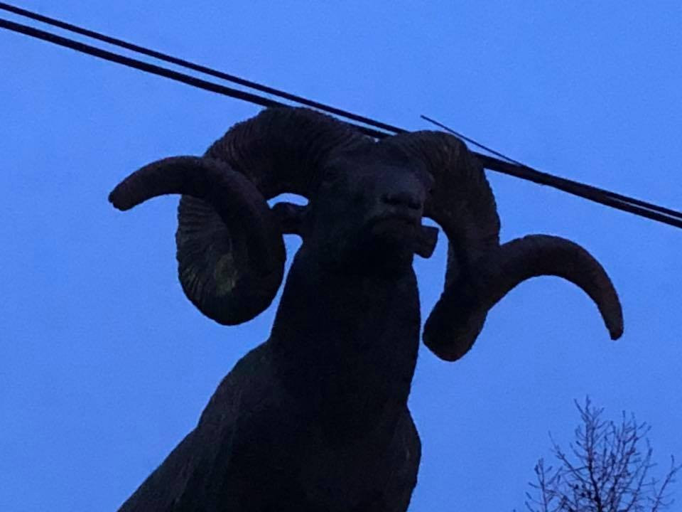 Altai Bighorn Statue-乌兰巴托必去景点