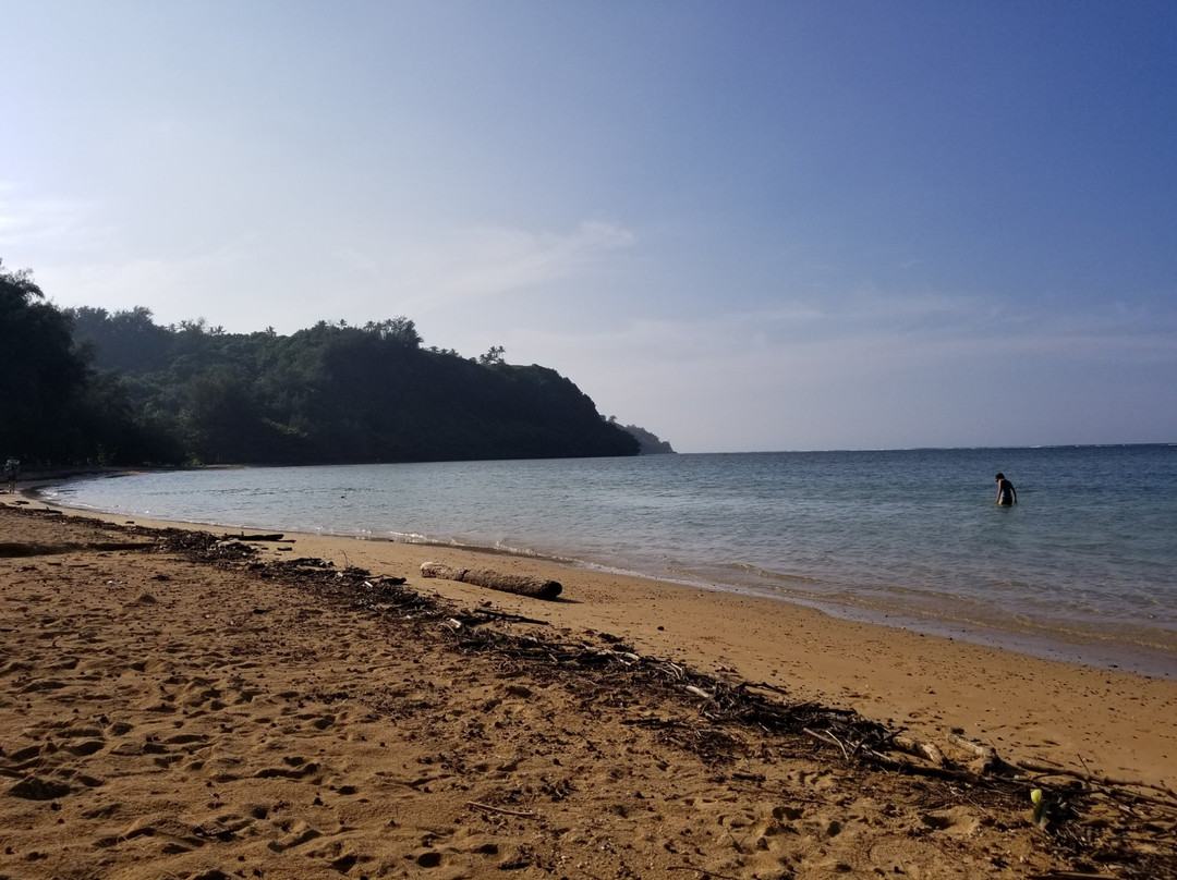 Wyllie's Beach-基拉韦厄必去景点