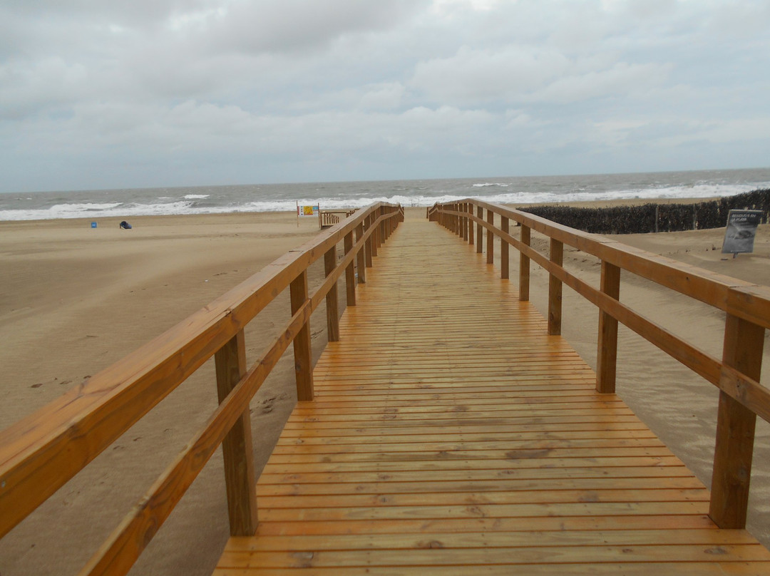 Valeria del Mar旅游攻略图片