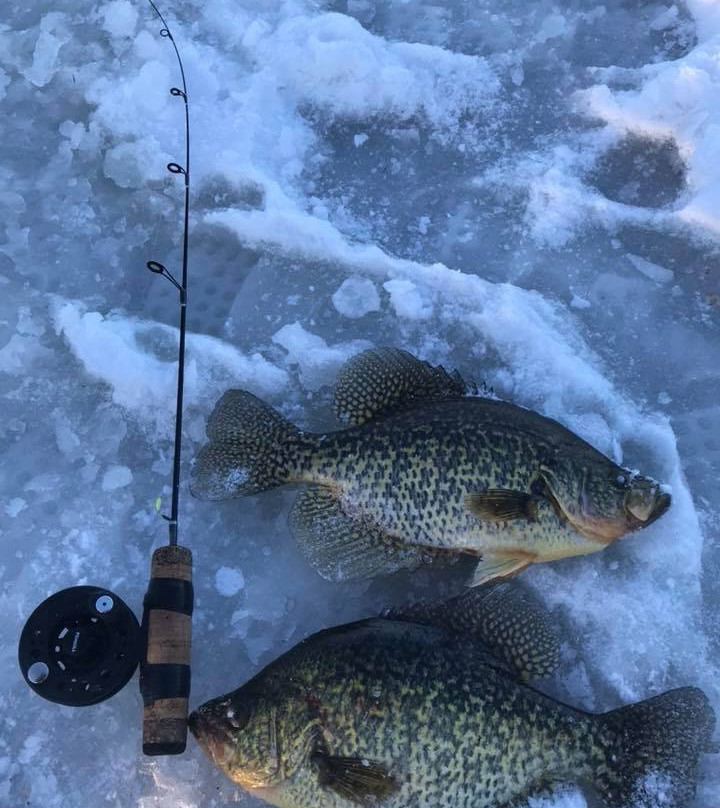 Frosty Flags Guide Service-波特兰必去景点