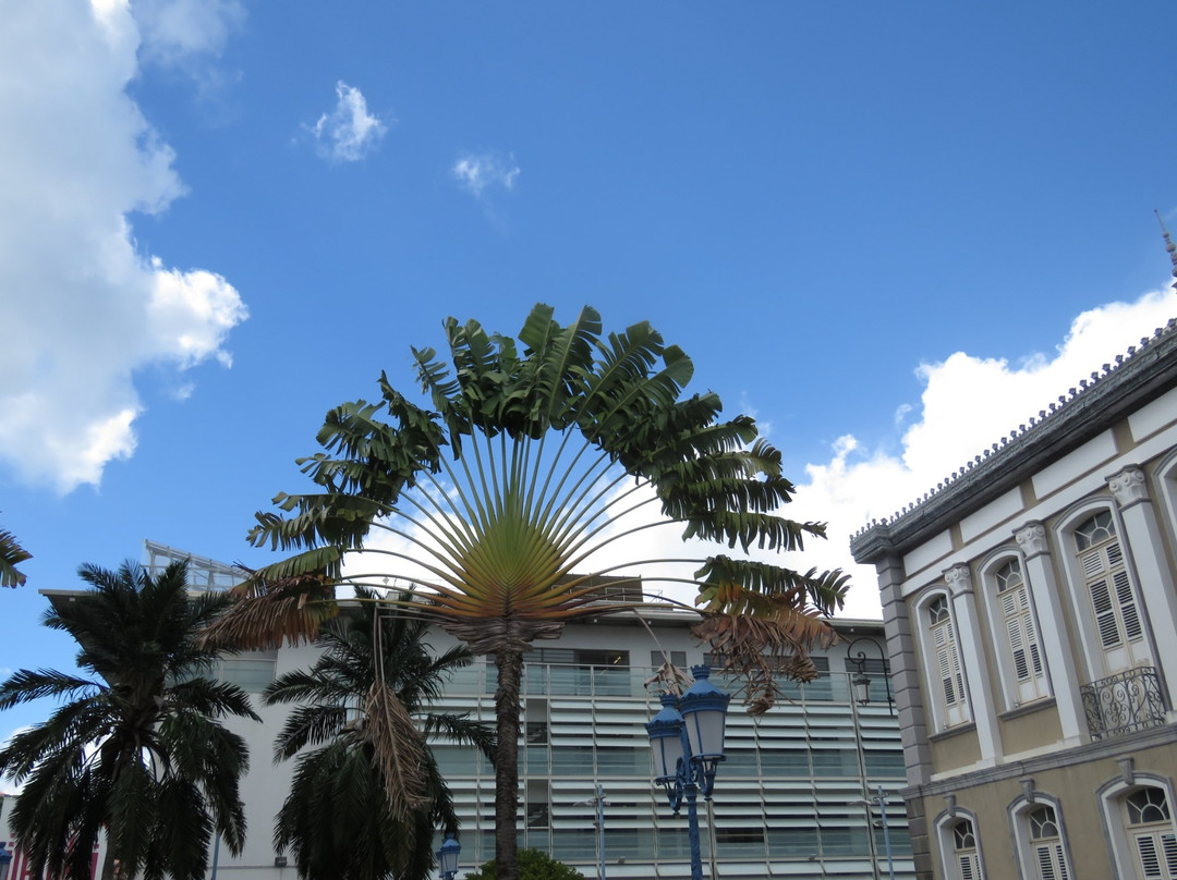 Theatre Aime Cesaire-法兰西堡必去景点