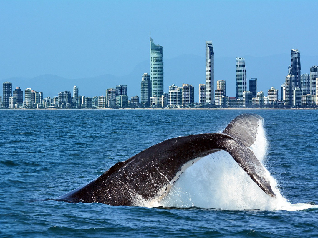 Sea The Gold Coast-绍斯波特必去景点