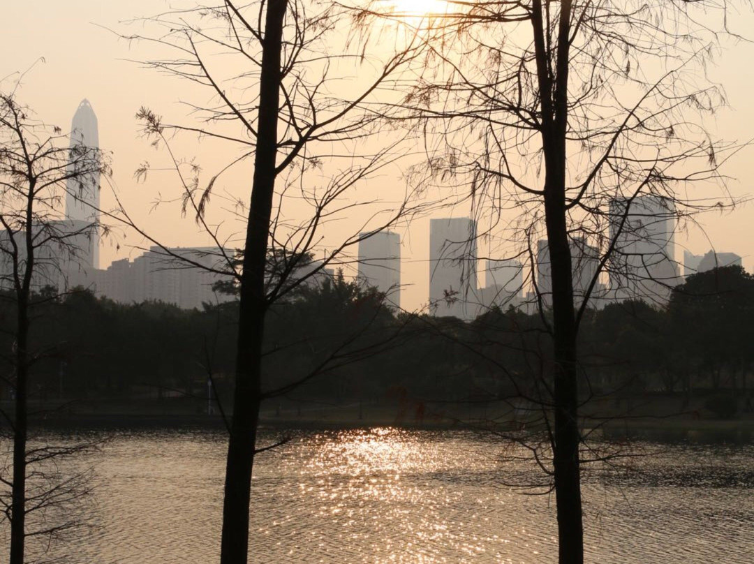 深圳中心公园景点图片