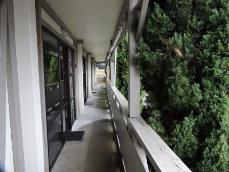 舍伍德酒店主图