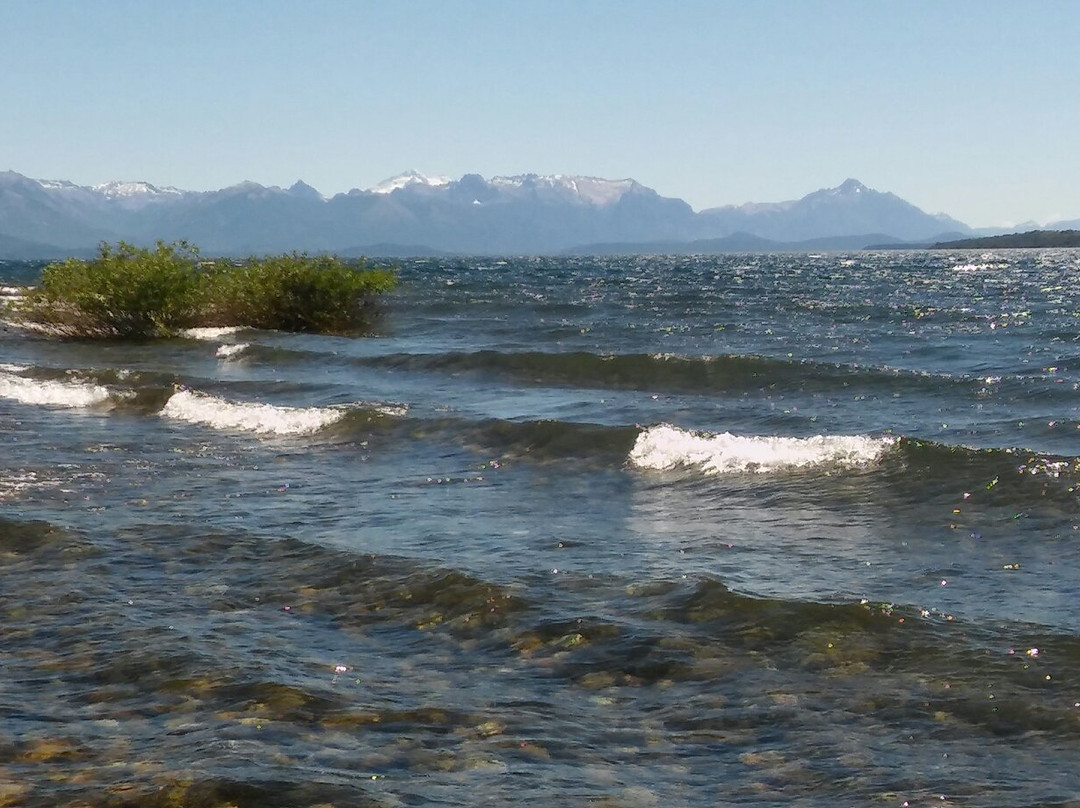 Dina Huapi酒店住宿-Raices Patagonicas