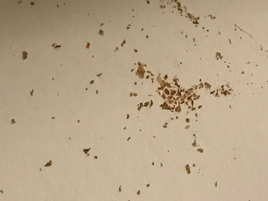 Comfort Suites At Virginia Center Commons主图