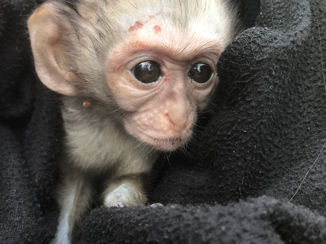 Burnedale Farm-Umhlali必去景点