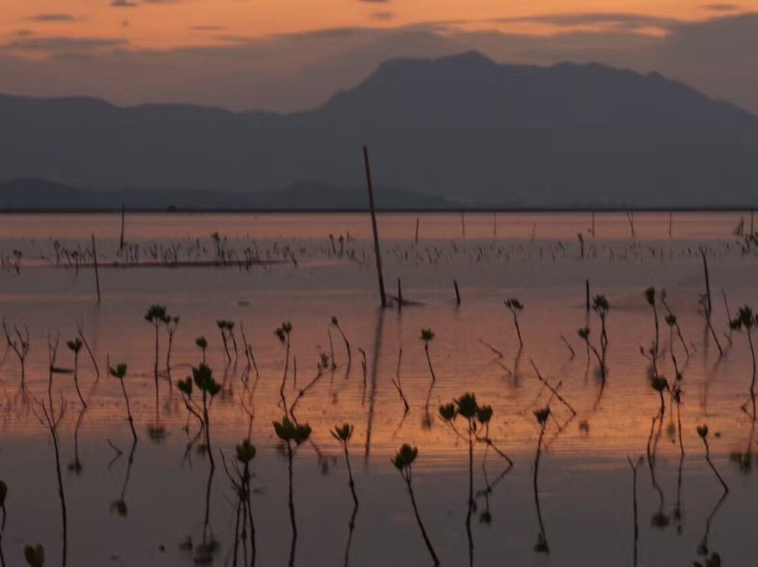 盐洲岛-惠东县必去景点