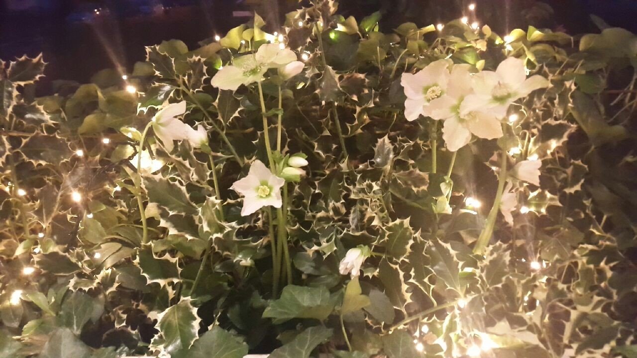 布莱梅私人酒店-官方