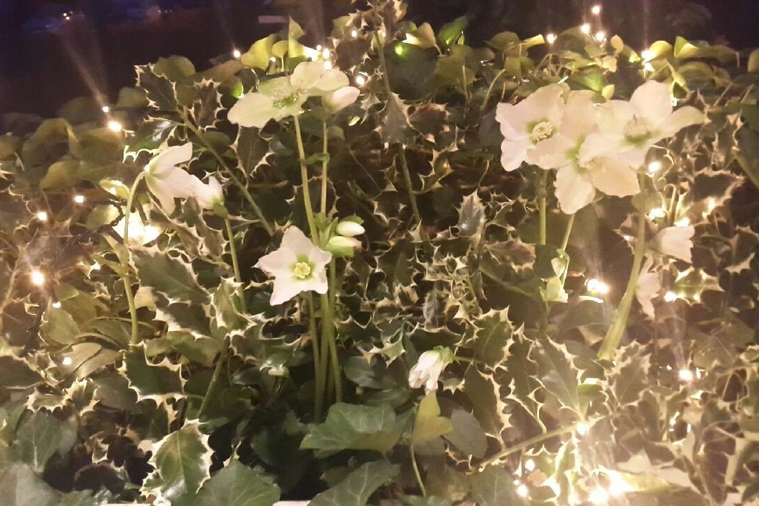 布莱梅私人酒店主图