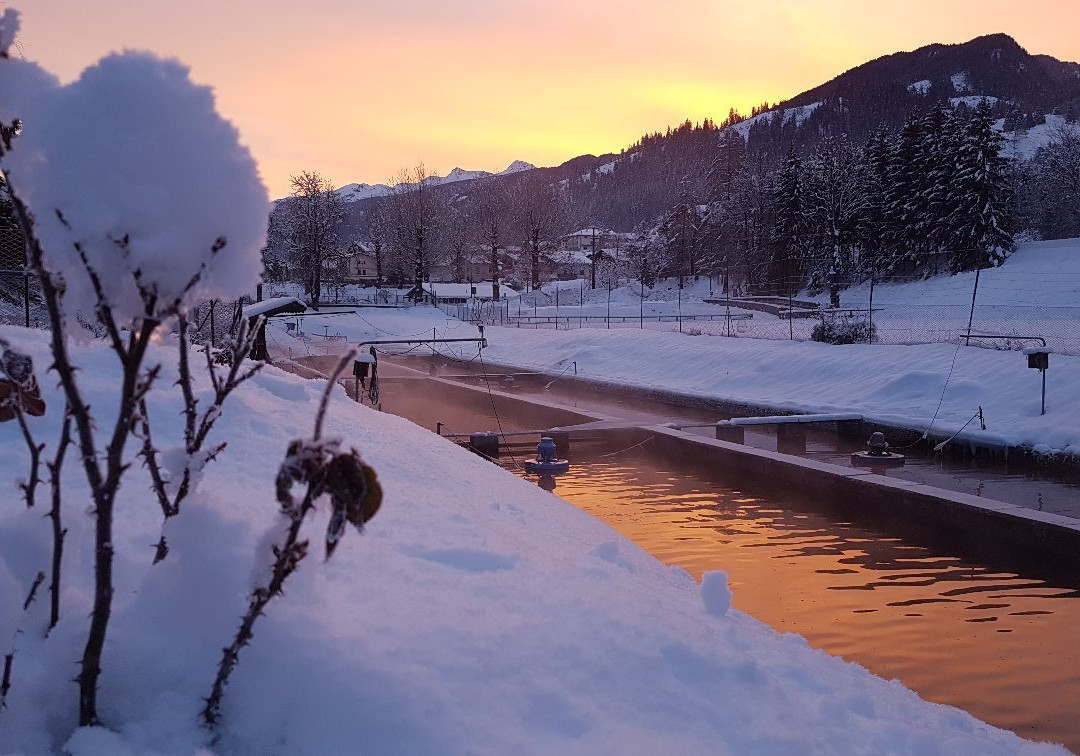 Troticoltura Vinante