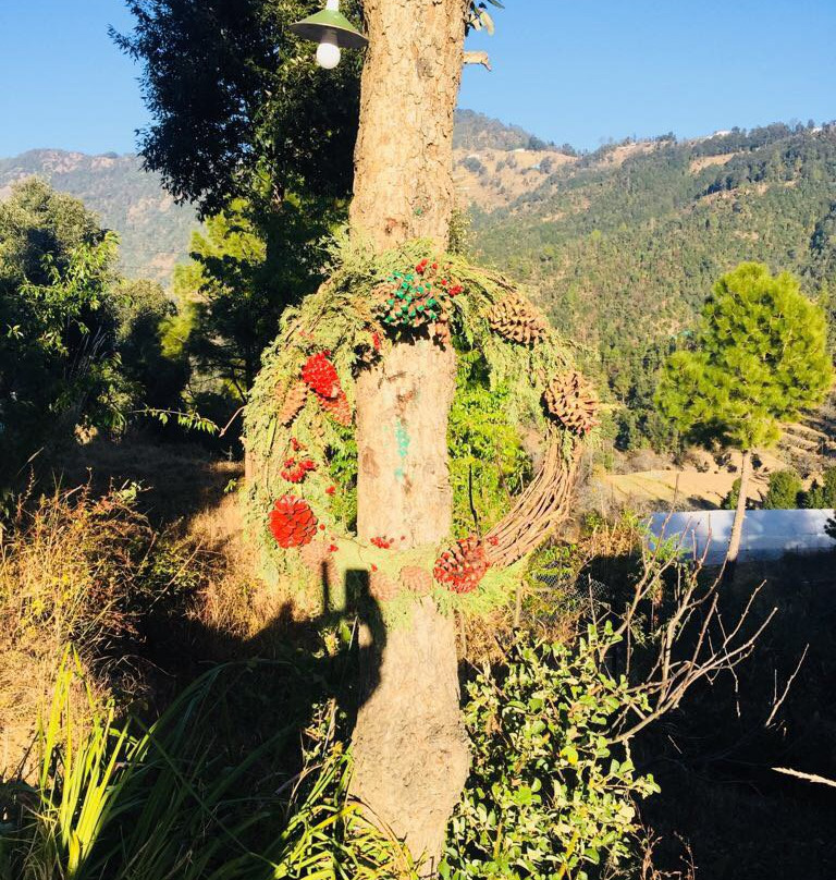 Dyo- The Organic Village Resort主图