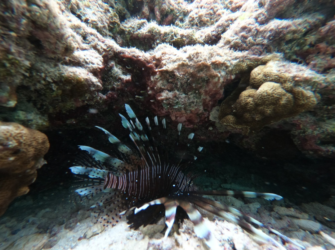 Dhonfulhafi Retreat B. Maalhos主图