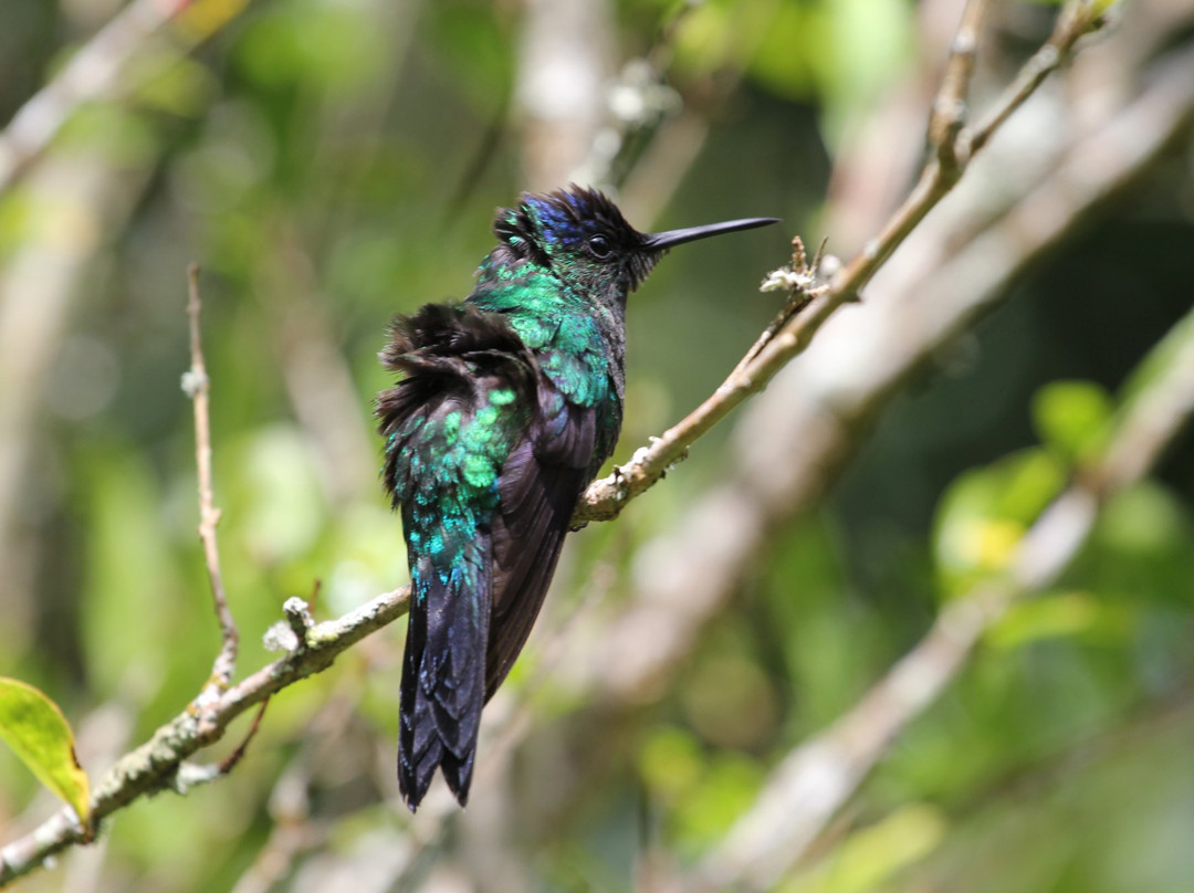 Pousada Valle di Trento主图