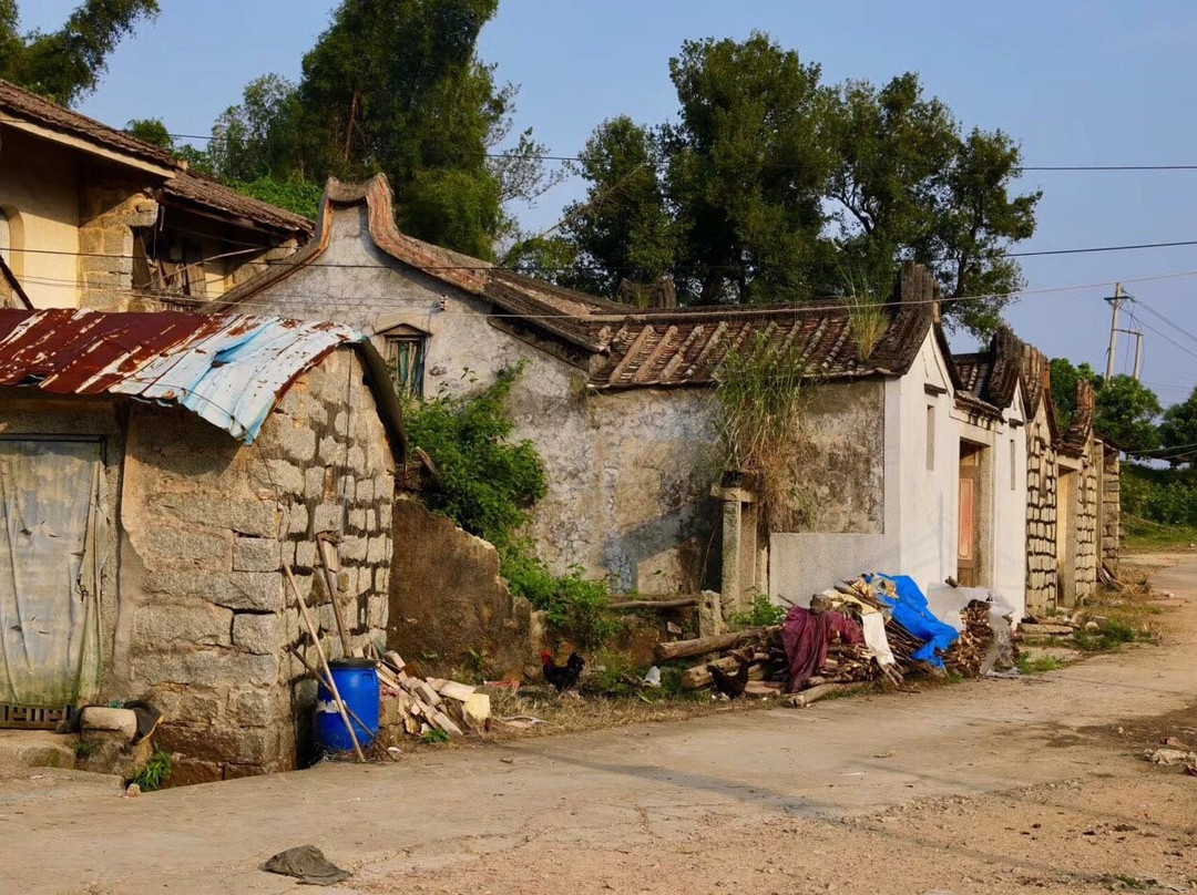 古榕报石-惠来县必去景点