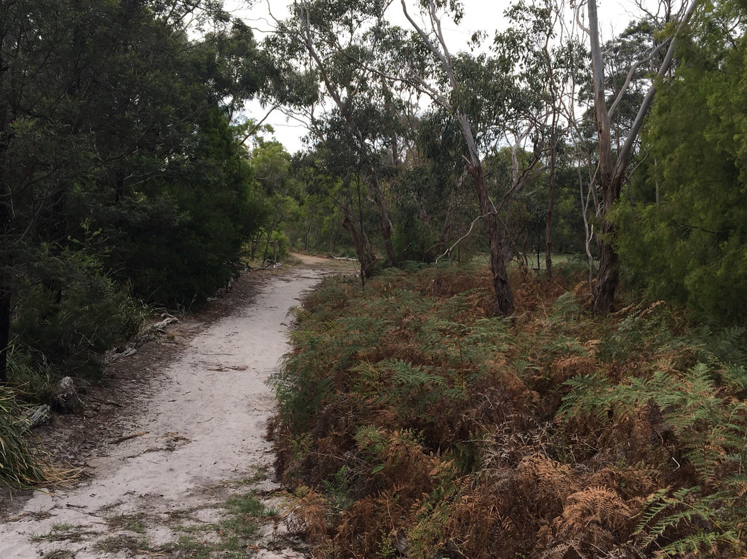 Long Hollow Heathland景点图片