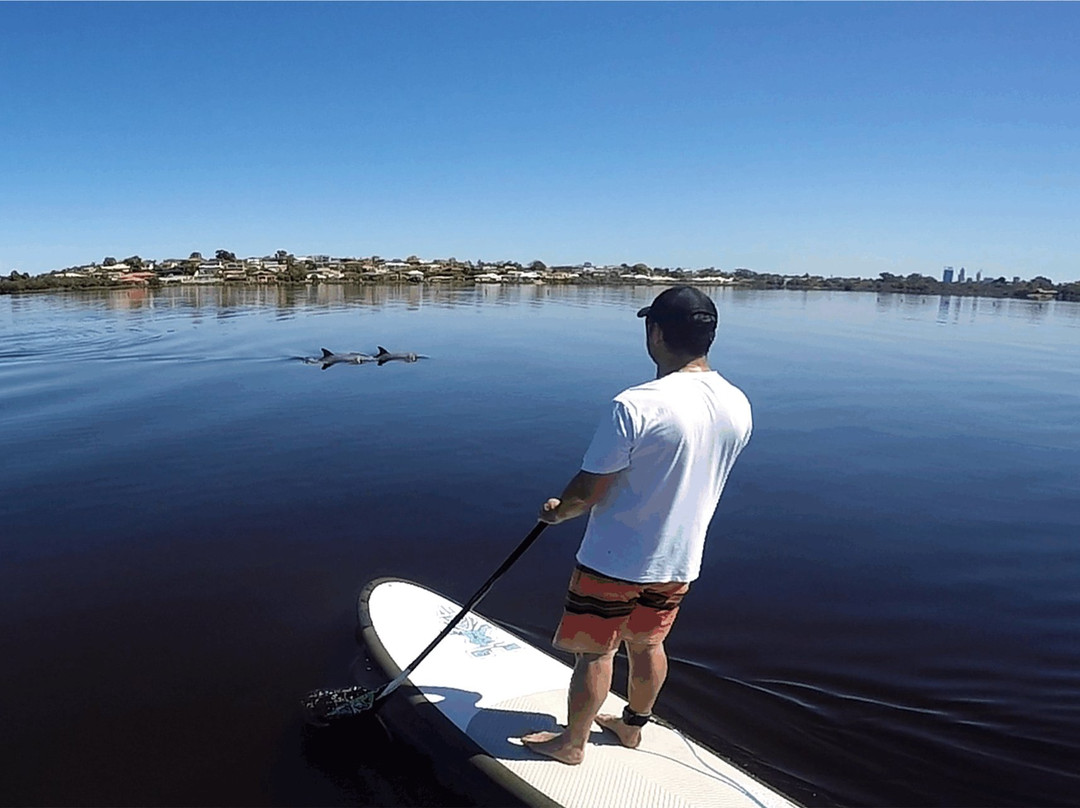 Sunset Stand Up Paddleboards景点图片