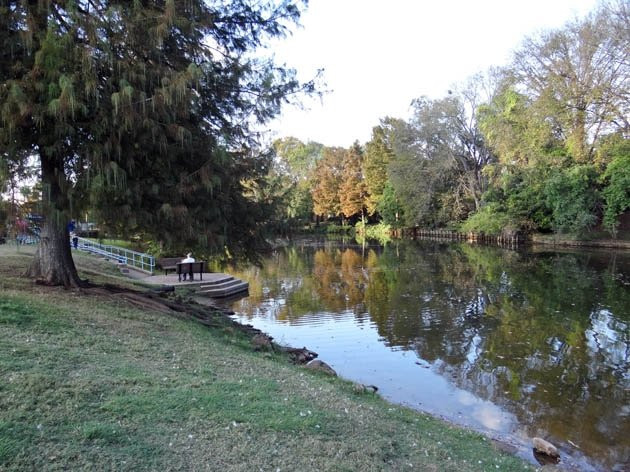 Duck Pond-什里夫波特必去景点