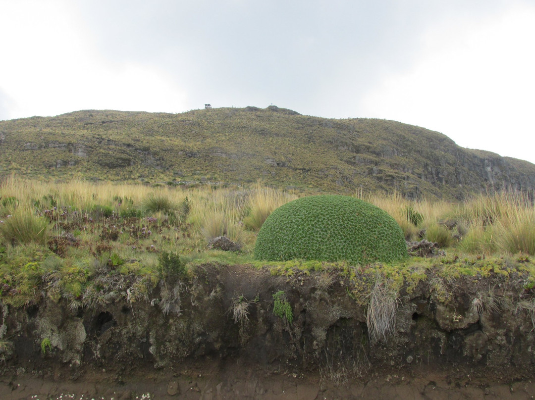 Lake Otun-佩雷拉必去景点